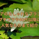 ヨガウェアのおしゃれなブランド29選!プチプラや40代以降に人気なものまで紹介